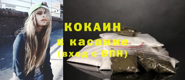 прущие грибы Нягань