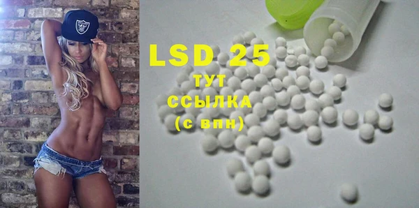 шишки Новозыбков