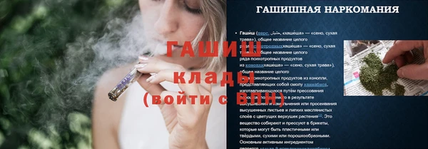 стафф Новокубанск