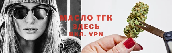 шишки Новозыбков