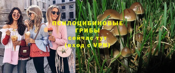 шишки Новозыбков