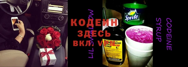 шишки Новозыбков