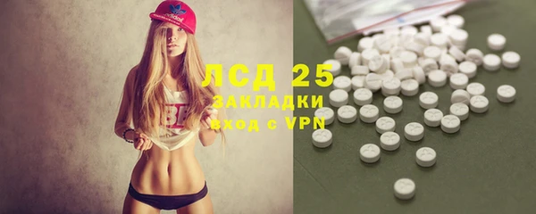 стафф Новокубанск