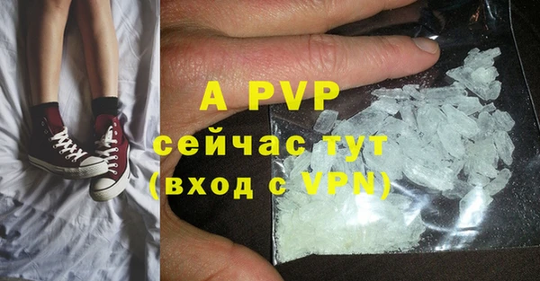шишки Новозыбков