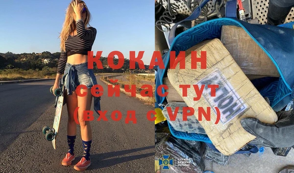 шишки Новозыбков