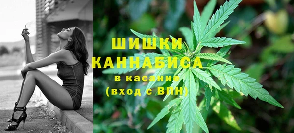 стафф Новокубанск