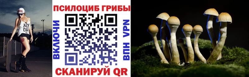 Купить где Камбарка Галлюциногенные грибы Psilocybine cubensis