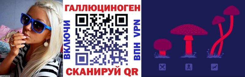Галлюциногенные грибы мухоморы Камбарка